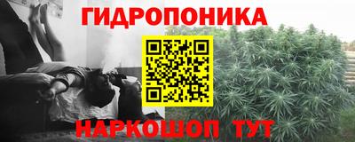 прущие крисы Жуковский