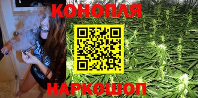 apvp Заводоуковск