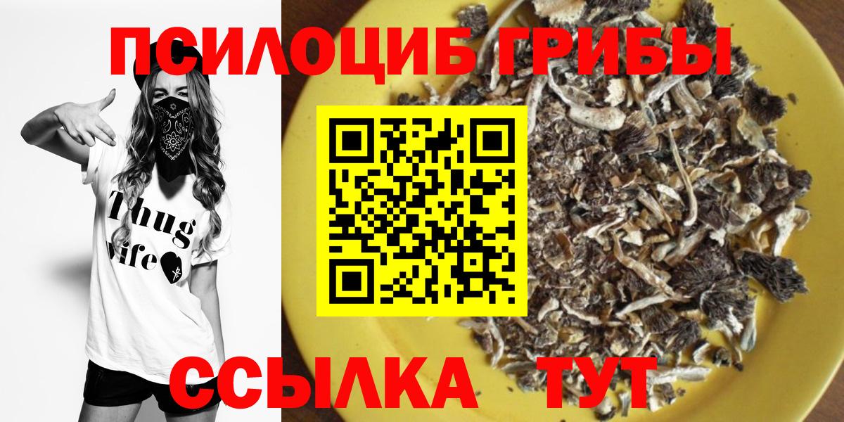 Галлюциногенные грибы GOLDEN TEACHER Заводоуковск