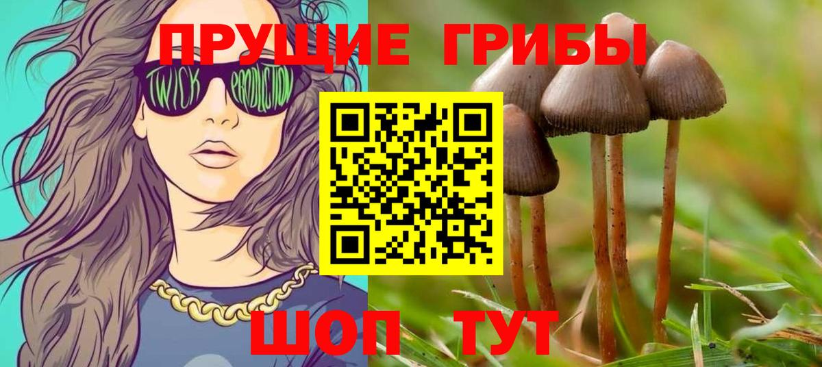 Заводоуковск  Галлюциногенные грибы MAGIC MUSHROOMS  Вход с VPN 